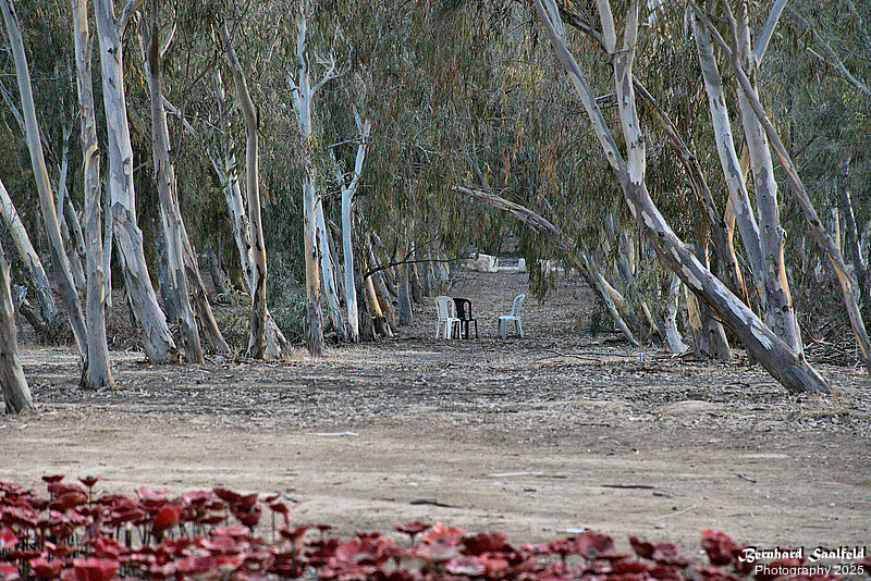 Bernhard Saalfeld - Nova (5v9)